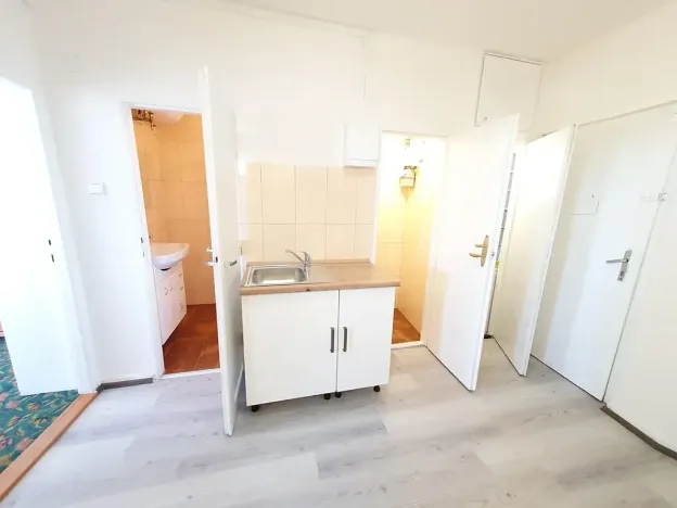 Pronájem bytu 2+1, Praha, S. K. Neumanna, 50 m2