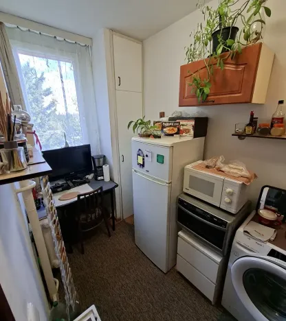 Prodej bytu 1+1, Brno, Halasovo náměstí, 29 m2