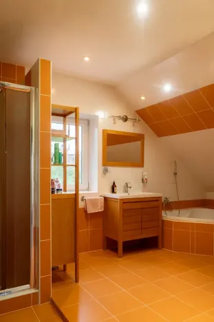 Prodej rodinného domu, Domašov u Šternberka, 400 m2