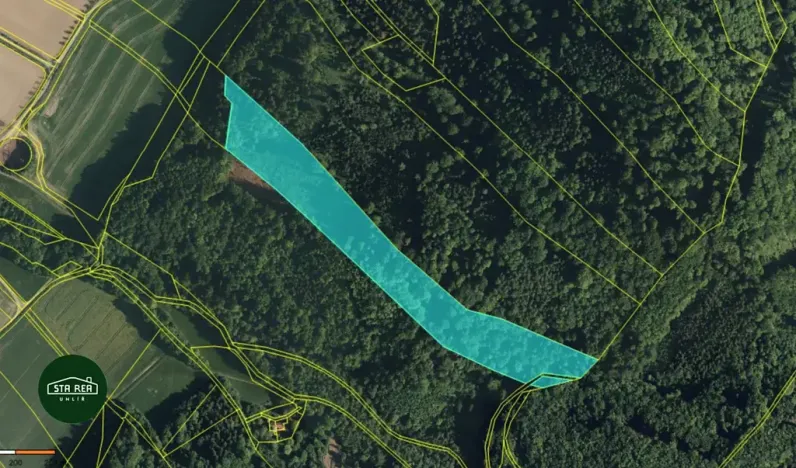 Prodej lesa, Hukvaldy, 32600 m2