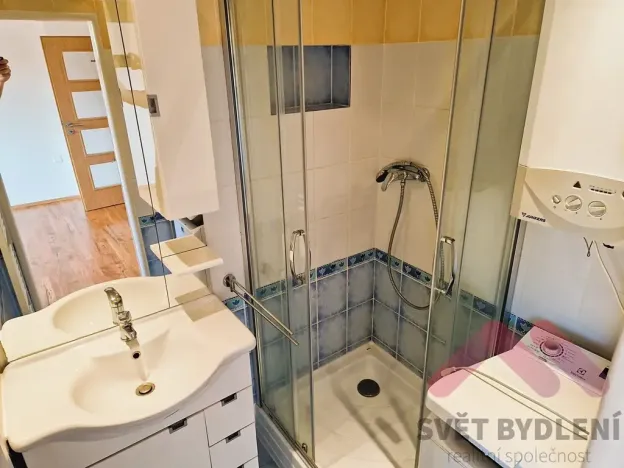 Pronájem bytu 1+kk, Praha - Nusle, Sevřená, 26 m2