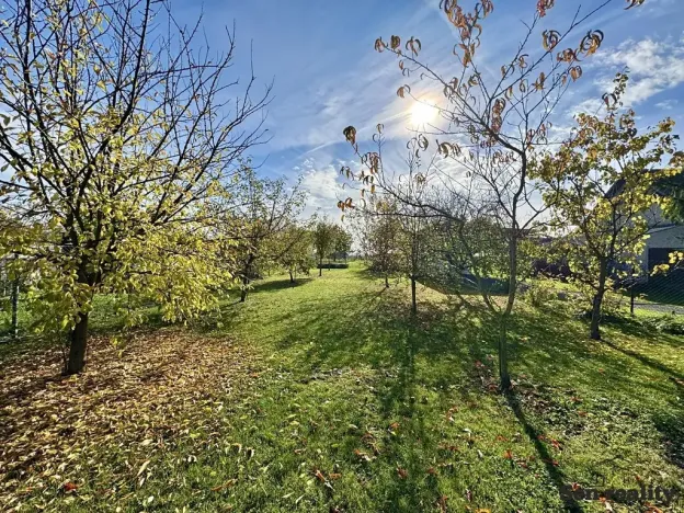 Prodej rodinného domu, Ostrov, 90 m2