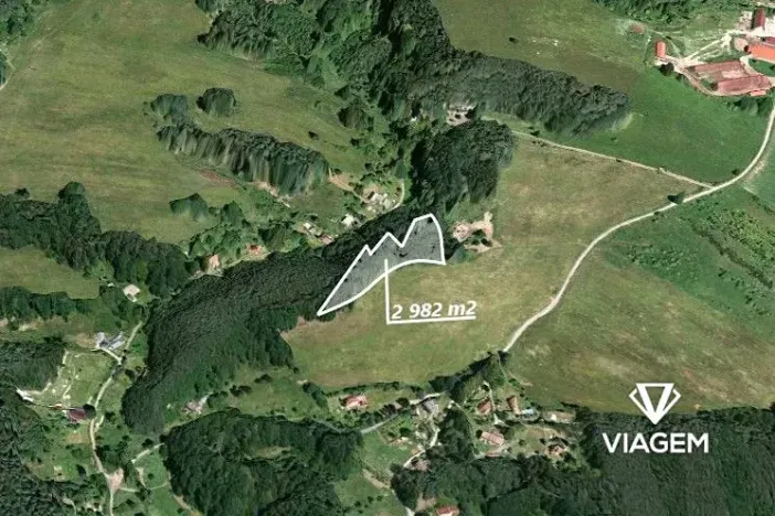 Prodej lesa, Zákupy, 2982 m2