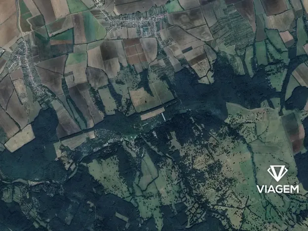 Prodej zahrady, Kněždub, 4798 m2