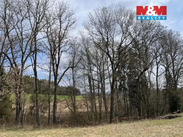 Prodej lesa, Košťálov - Kundratice, 11072 m2