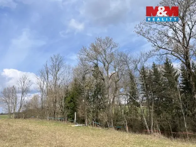 Prodej lesa, Košťálov - Kundratice, 11072 m2