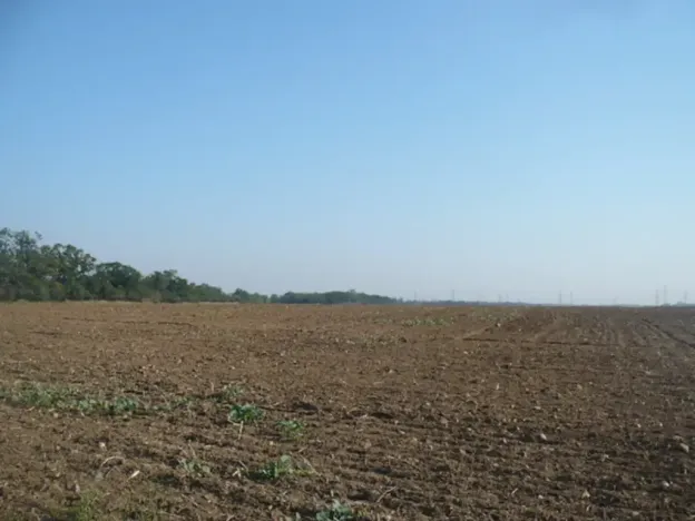 Prodej komerčního pozemku, Veltrusy, 55948 m2