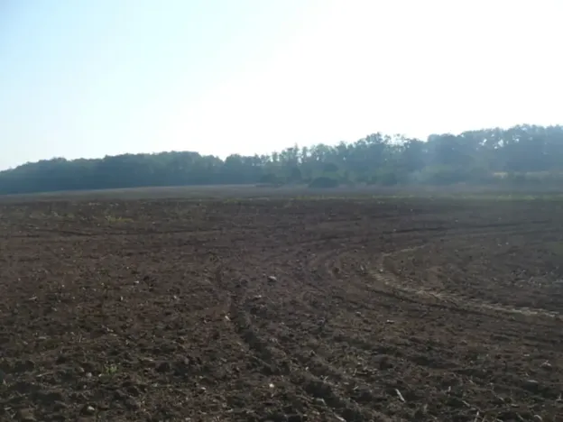 Prodej komerčního pozemku, Veltrusy, 55948 m2