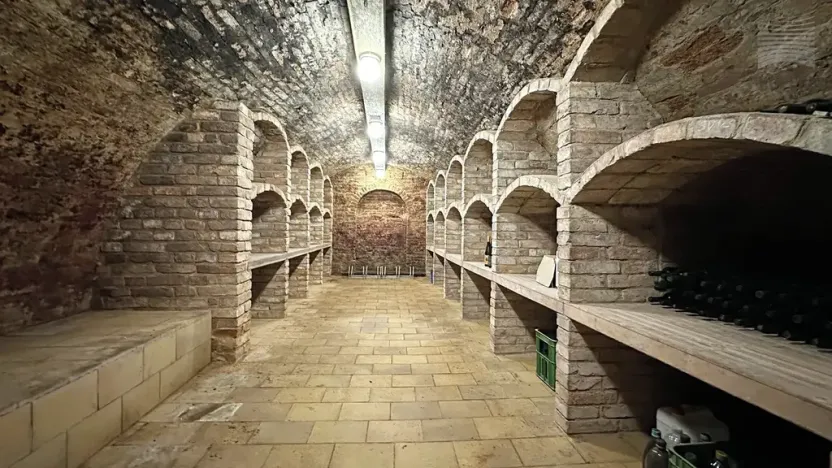 Prodej rodinného domu, Strachotín, Sklepní, 285 m2