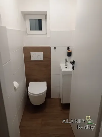 Pronájem bytu 1+1, Šestajovice, 55 m2