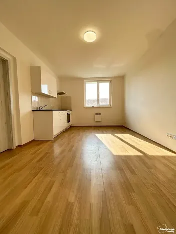 Prodej bytu 1+kk, Mšené-lázně, Mládežnická, 34 m2