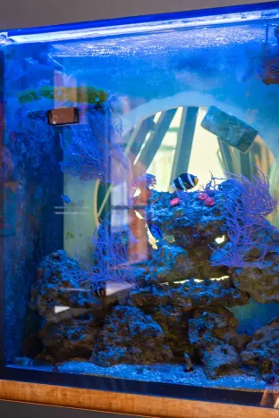 Prodej restaurace, Kvilda, 253 m2