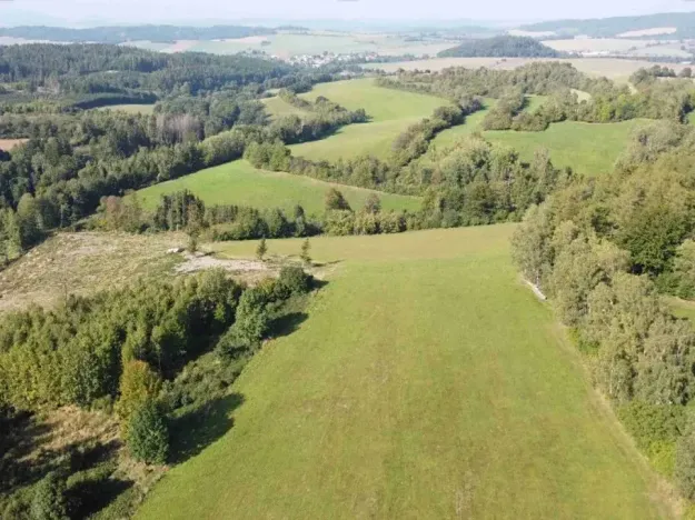 Dražba louky, Chlistov, 4212 m2