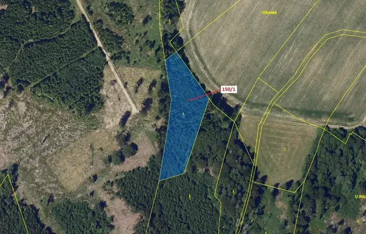 Dražba lesa, Krásné, 6169 m2