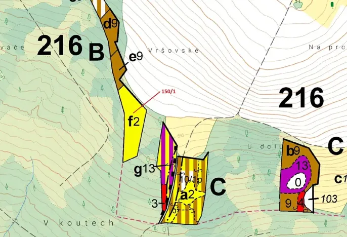 Dražba lesa, Krásné, 6169 m2