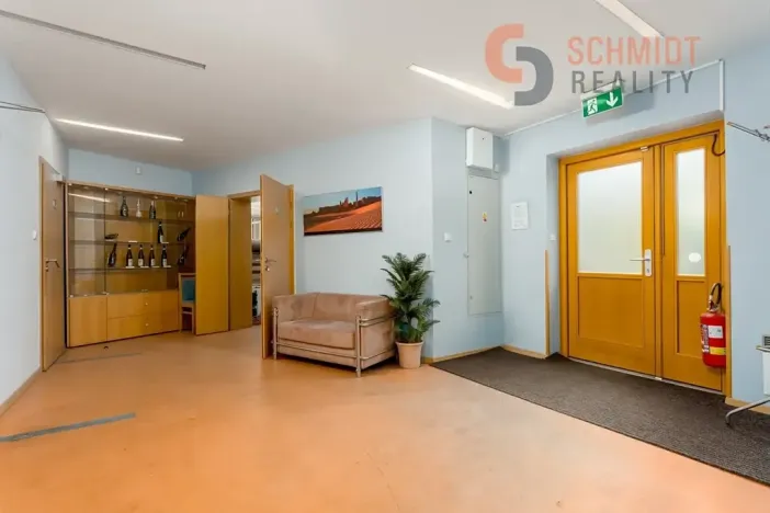 Prodej vícegeneračního domu, Brno, 576 m2