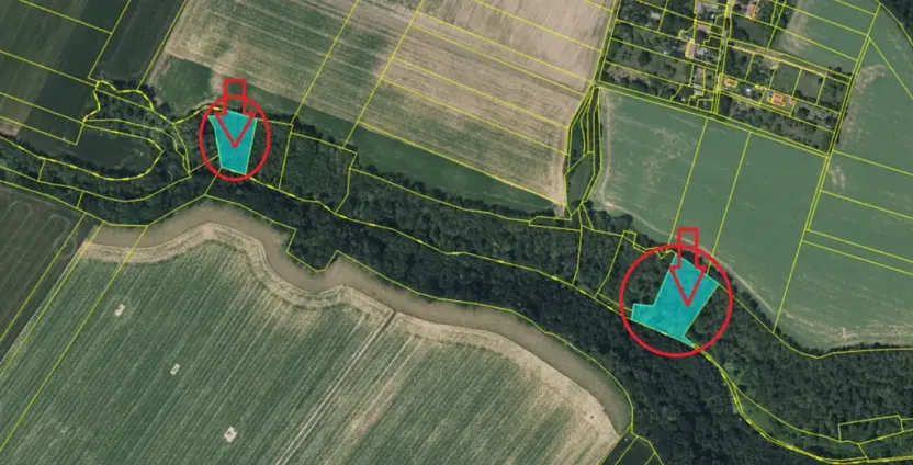 Prodej lesa, Velké Všelisy, 8197 m2