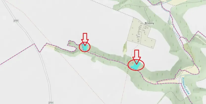 Prodej lesa, Velké Všelisy, 8197 m2