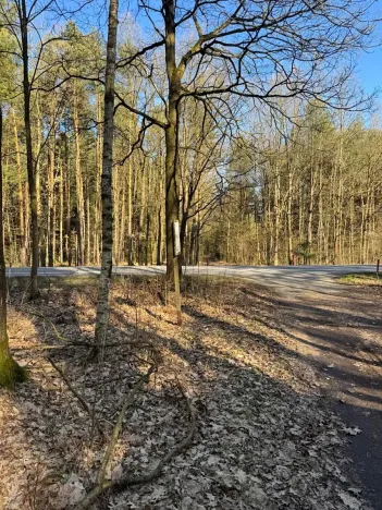 Prodej lesa, Týniště nad Orlicí, 6788 m2