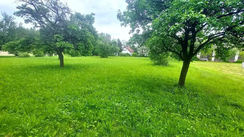 Prodej pozemku pro bydlení, Pecka, 1250 m2