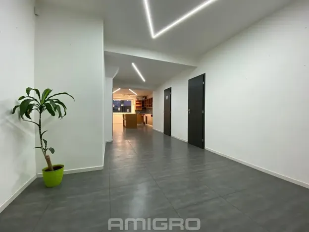 Pronájem obchodního prostoru, Brno, Merhautova, 56 m2