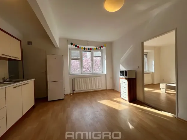 Pronájem bytu 1+1, Brno, Skácelova, 46 m2