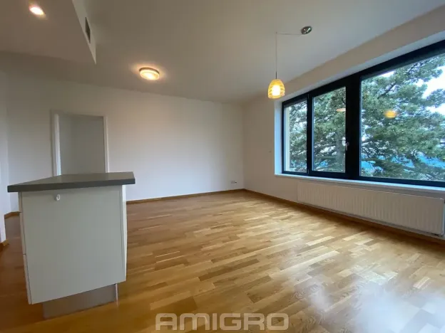 Pronájem bytu 3+kk, Brno, Preslova, 104 m2