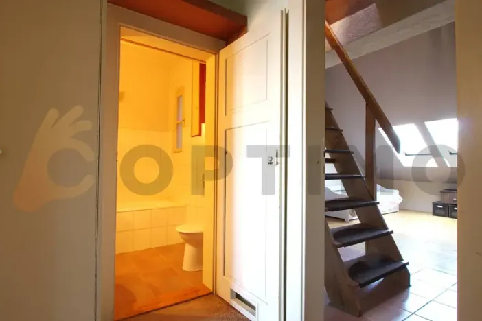 Prodej bytu 1+1, Praha - Žižkov, Na Balkáně, 69 m2