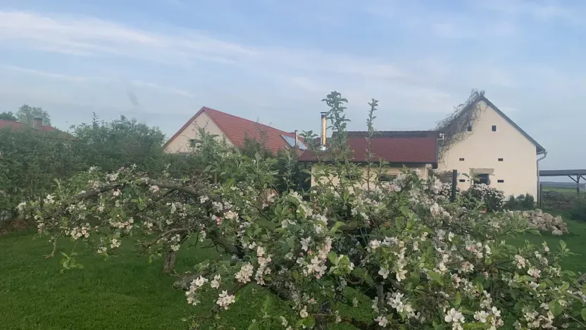 Prodej komerční, Pluhův Žďár - Jižná, 28792 m2