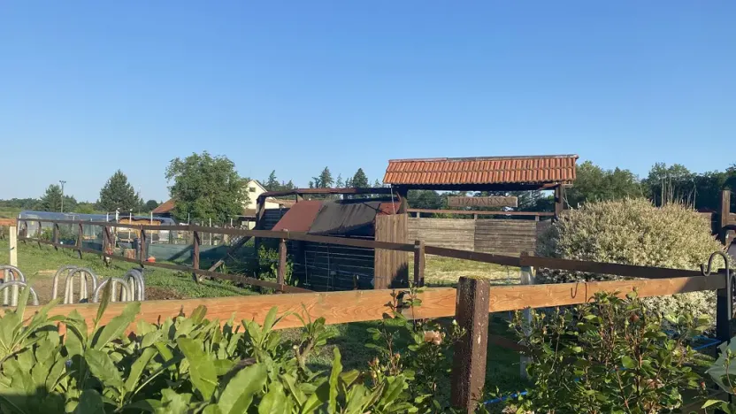 Prodej komerční, Pluhův Žďár - Jižná, 28792 m2