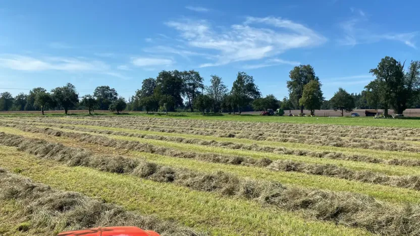 Prodej komerční, Pluhův Žďár - Jižná, 28792 m2