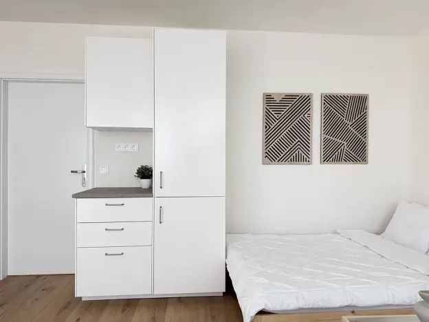 Pronájem bytu 1+kk, Praha - Michle, Batelovská, 22 m2