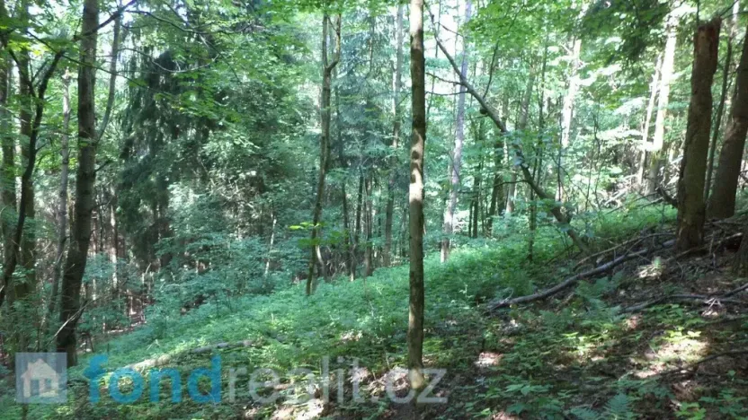 Prodej pozemku, Dolní Dobrouč, 4634 m2