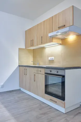 Pronájem bytu 1+kk, Plzeň, Rejskova, 50 m2