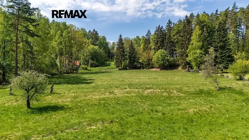 Prodej louky, Cvikov, 5335 m2