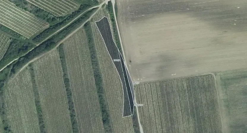 Prodej sadu/vinice, Čejkovice, 3575 m2