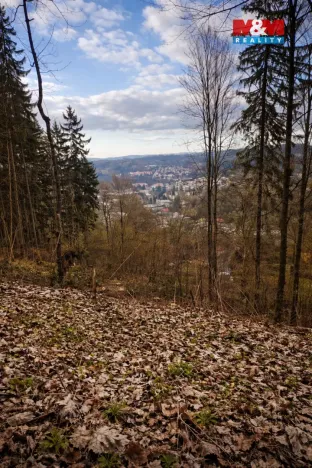 Prodej lesa, Semily, 1939 m2