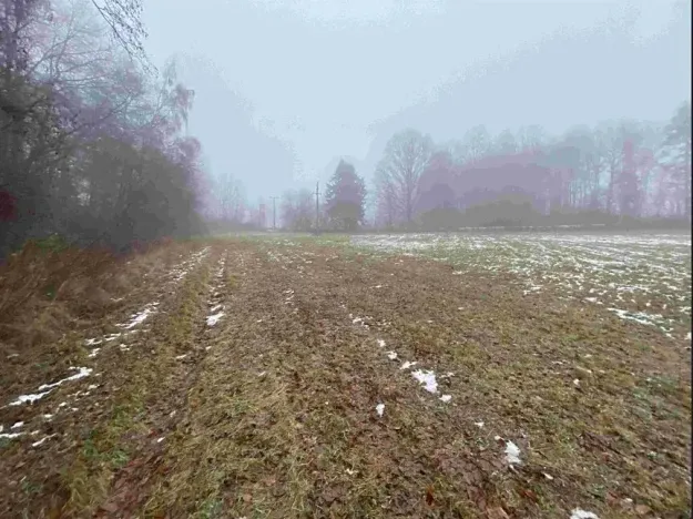 Dražba pole, Mrákotín, 2398 m2