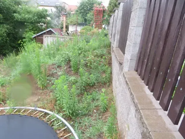 Dražba rodinného domu, Týnec nad Labem, Hradská, 10 m2