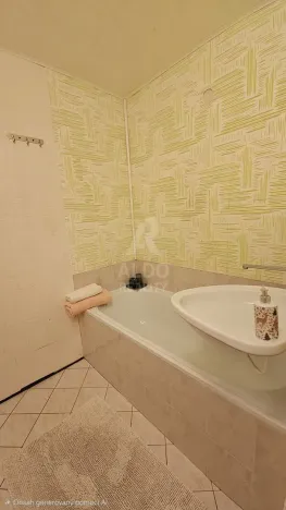 Prodej bytu 1+1, České Budějovice, Čéčova, 51 m2