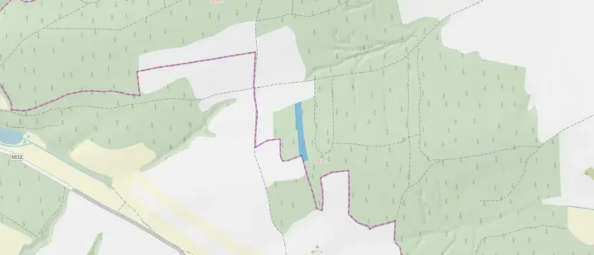 Prodej lesa, Blížejov - Lštění, 6627 m2