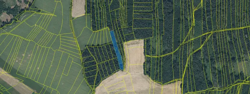 Prodej lesa, Blížejov - Lštění, 4624 m2