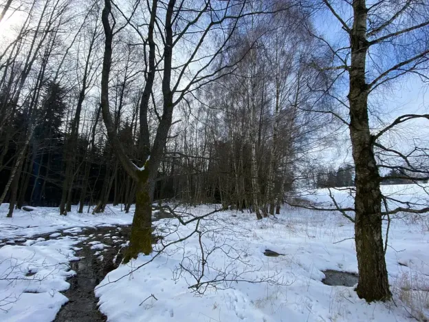 Prodej pozemku, Volfířov - Brandlín, 5958 m2