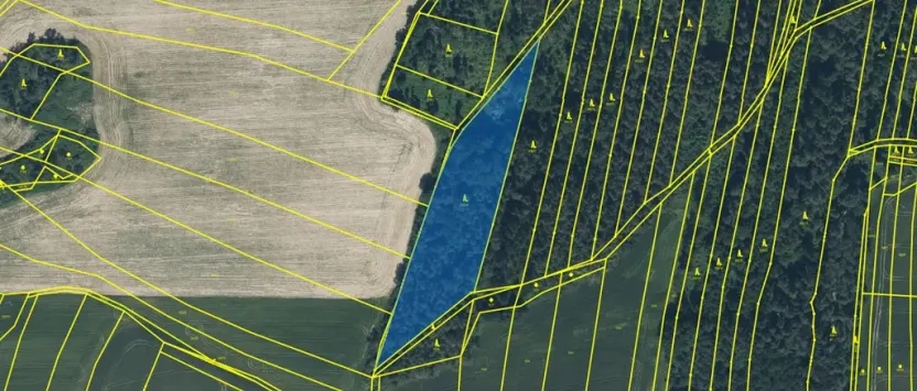 Prodej lesa, Blížejov - Lštění, 7793 m2