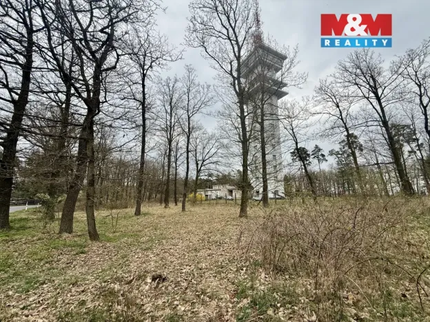 Prodej lesa, Býšť, 3807 m2