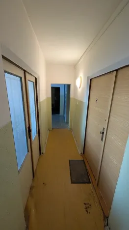 Prodej bytu 1+1, Plzeň, Tachovská, 40 m2