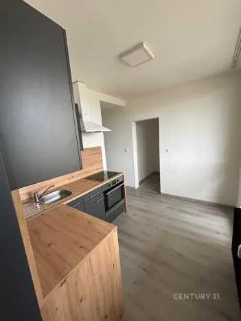 Pronájem bytu 3+1, Most, Brněnská, 69 m2