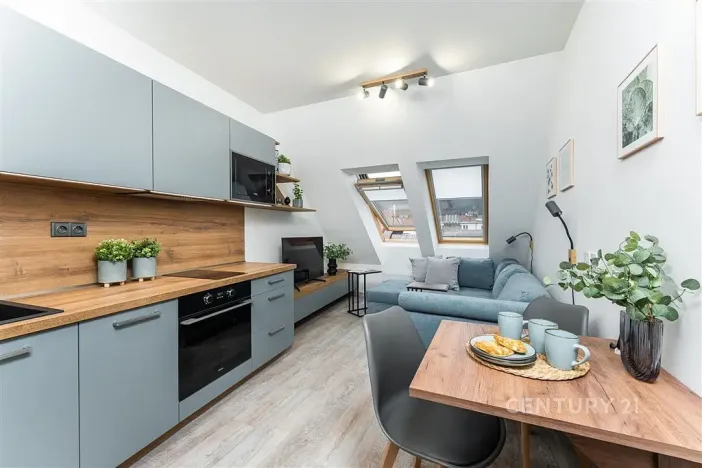 Pronájem bytu 2+kk, Praha, Plzeňská, 43 m2