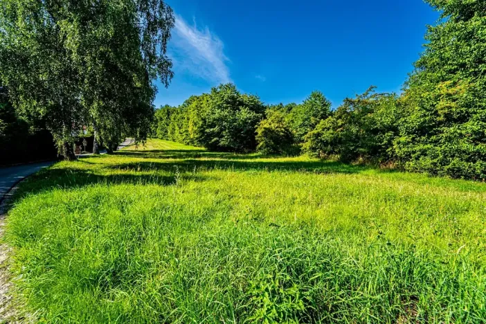 Prodej pozemku pro bydlení, Kamenice, Lesní, 1062 m2