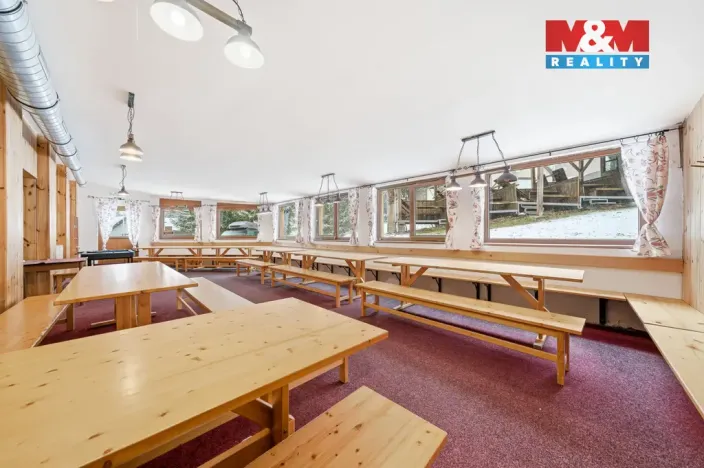 Prodej ubytování, Čenkovice, 297 m2